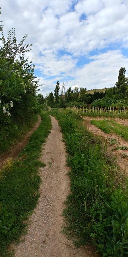 Apartamento Entrevinas En El Corazon De La Rioja Fuenmayor Zewnętrze zdjęcie
